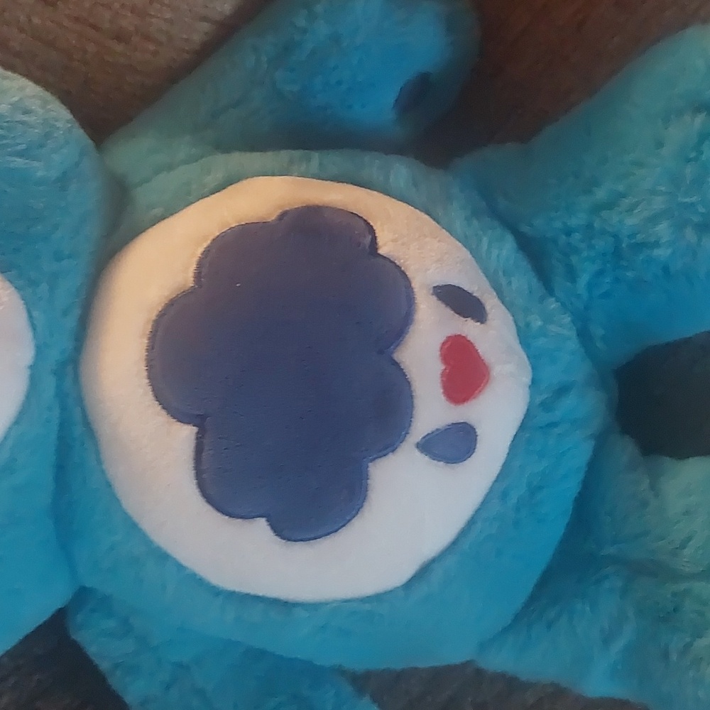2020 Basic Fun Carebears Grumpy Bear Plush 13" - Picture 8 of 16